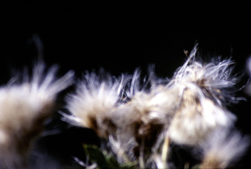 poroCity — immagine 5